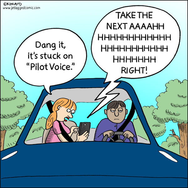 Pilot Voice